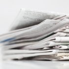 HealthFerm Releases Comprehensive Survey on European Consumer Attitudes Towards Plant-Based Fermented Foods