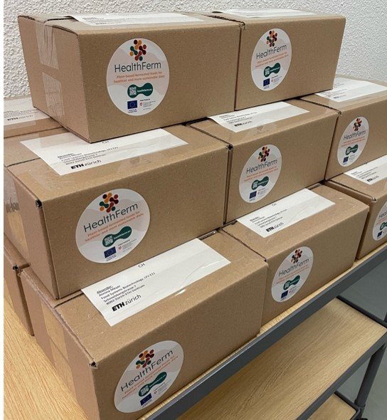 Boxes